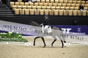 182194_kbb_01_Z097037.JPG
