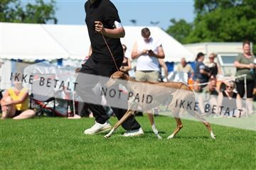 181564_rin_02_R62_4044.JPG