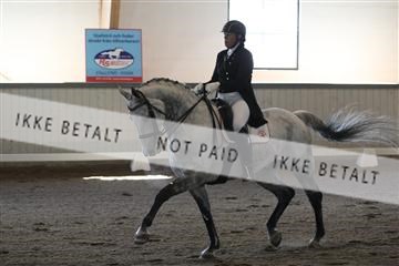 139267_kl_1_8M1Q6985.JPG