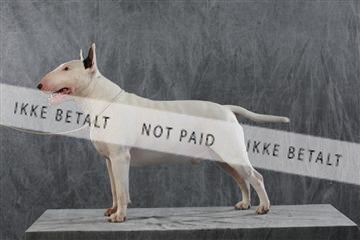 128239_le_kort_ 01_0267.JPG