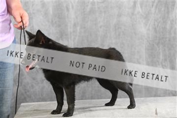 129608_le_ 01_0639.JPG