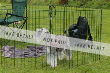 130370_tl_01_IMG_6987.JPG