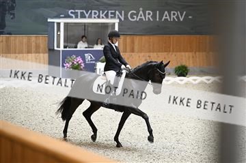 182176_kbb_01_Z093167.JPG