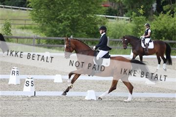 172030_mtp_01_3M5A2240.JPG