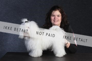 132082_le_ 01_IMG_0291.JPG