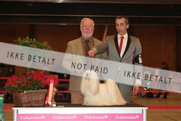 124188 _tl_02_IMG_9296.JPG