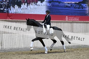 182241_kbb_01_Z094738.JPG