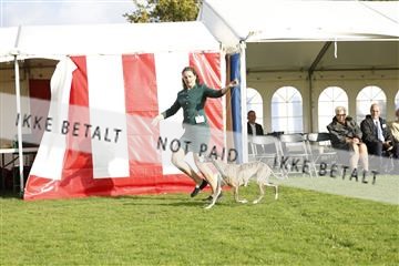 182009_kar_01__62_7218.JPG