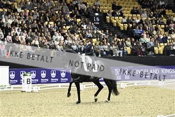 182194_kbb_03_Z092705.JPG
