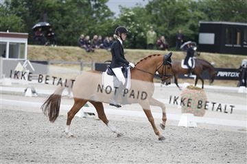 166078_rhj_01__J7R4287.JPG