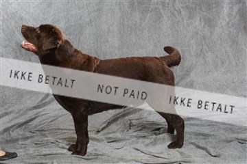 130054_le_ 01_0379.JPG