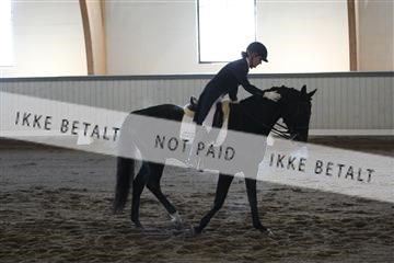 139267_kl_1_8M1Q6883.JPG