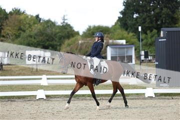 181894_mtp_05_R62_4748.JPG