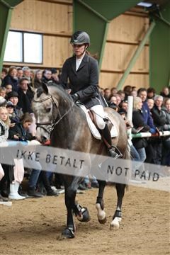 139265_kl_1_8M1Q6155.JPG