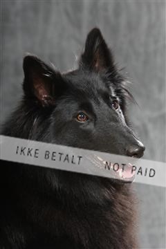 130054_le_ 01_0106.JPG