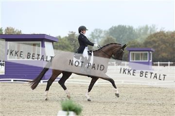 181923_mtp_04_R62_8323.JPG