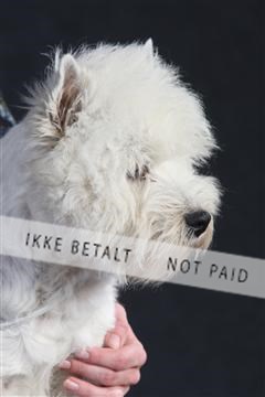 132082_le_ 01_IMG_1504.JPG