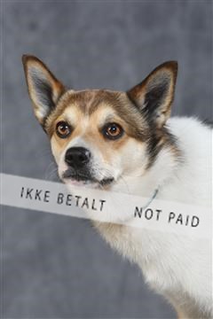 130054_le_ 03_0208.JPG