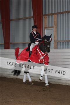 139835_sg_03_IMG_9627.JPG