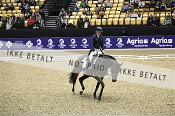 182194_kbb_02_Z098642.JPG