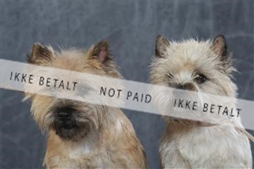 130054_le_ 03_0071.JPG