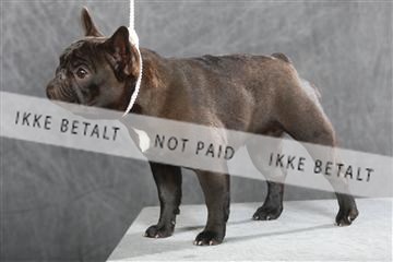 130054_le_ 01_0120.JPG