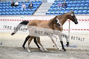 181754_kbb_01_Z092718.JPG