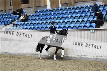 182241_kbb_01_Z094733.JPG