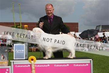 130370_le_02_IMG_8647.JPG