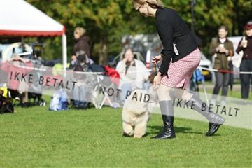 182009_rin_01__62_6850.JPG
