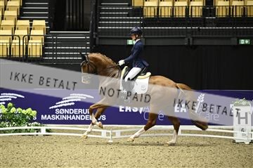 182194_kbb_02_Z097752.JPG