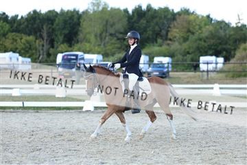 181894_mtp_05_R62_5399.JPG