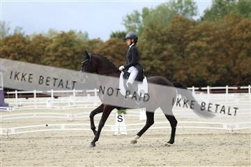 181923_mtp_03_R62_7459.JPG