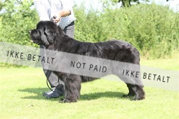 130370_se_02_IMG_5861.JPG