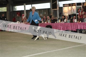 126168_se_01_IMG_0397.JPG