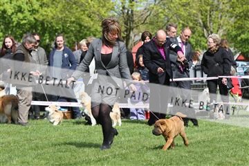 134871_ms_02_IMG_3456.JPG