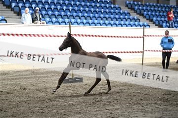 181754_kbb_01_Z092921.JPG