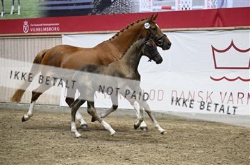 181957_kbb_01_Z097625.JPG