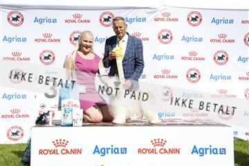 181564_ch_01__62_9833.JPG