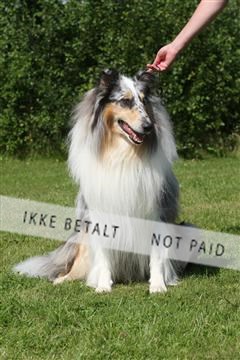 130370_se_03_IMG_7545.JPG
