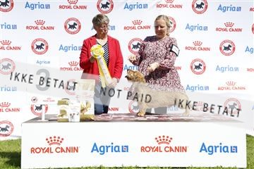 181564_ch_01__62_9304.JPG