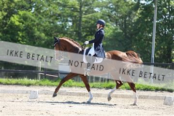 168732_mtp_01_3M5A7187.JPG
