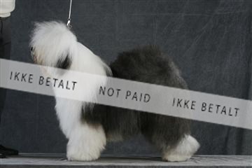 5493_sme _02__MG_9697.JPG