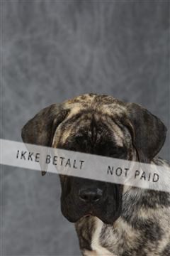 130054_le_ 03_0162.JPG