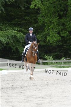 139898_ms_01__MS28040.JPG