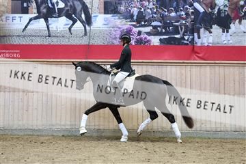 181887_mtp_04_R62_9244.JPG