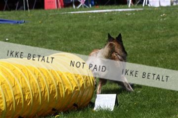 134871_ms_02_IMG_3045.JPG