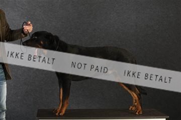 132082_le_ 01_IMG_0796.JPG