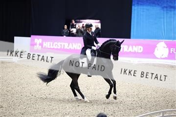 182194_avh_05_2080.JPG