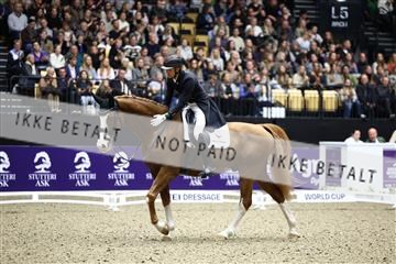 182194_avh_07_3811.JPG
